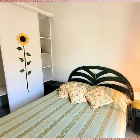 Holiday home La Palmeraie, Maison 6pers En Avec Piscine A 300m Des Plages De *
